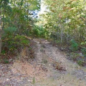Photo of REDUCED!  193 Acres of Hunting and Recreational Land For Sale in Bedford County VA!