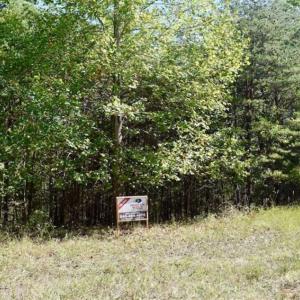 Photo of REDUCED!  193 Acres of Hunting and Recreational Land For Sale in Bedford County VA!