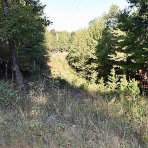 Photo of REDUCED!  193 Acres of Hunting and Recreational Land For Sale in Bedford County VA!
