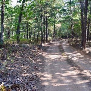 Photo of REDUCED!  193 Acres of Hunting and Recreational Land For Sale in Bedford County VA!