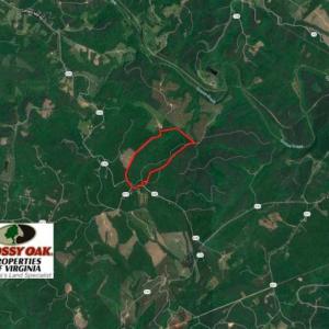 Photo of REDUCED!  193 Acres of Hunting and Recreational Land For Sale in Bedford County VA!