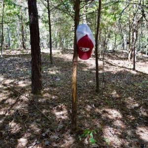 Photo of REDUCED!  193 Acres of Hunting and Recreational Land For Sale in Bedford County VA!
