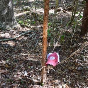 Photo of REDUCED!  193 Acres of Hunting and Recreational Land For Sale in Bedford County VA!