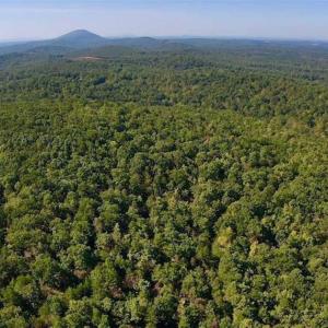 Photo of REDUCED!  193 Acres of Hunting and Recreational Land For Sale in Bedford County VA!
