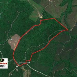 Photo of REDUCED!  193 Acres of Hunting and Recreational Land For Sale in Bedford County VA!