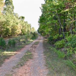 Photo of REDUCED!  193 Acres of Hunting and Recreational Land For Sale in Bedford County VA!