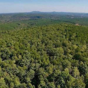 Photo of REDUCED!  193 Acres of Hunting and Recreational Land For Sale in Bedford County VA!