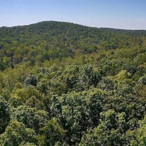 Photo of REDUCED!  193 Acres of Hunting and Recreational Land For Sale in Bedford County VA!
