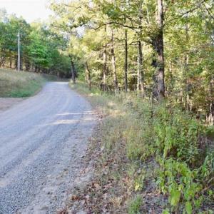 Photo of REDUCED!  193 Acres of Hunting and Recreational Land For Sale in Bedford County VA!