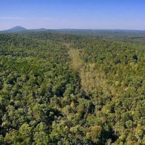 Photo of REDUCED!  193 Acres of Hunting and Recreational Land For Sale in Bedford County VA!