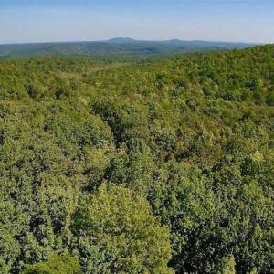Photo of REDUCED!  193 Acres of Hunting and Recreational Land For Sale in Bedford County VA!