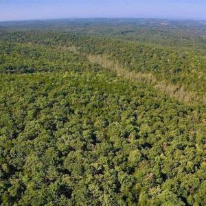 Photo of REDUCED!  193 Acres of Hunting and Recreational Land For Sale in Bedford County VA!