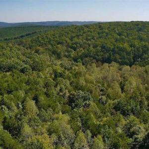 Photo of REDUCED!  193 Acres of Hunting and Recreational Land For Sale in Bedford County VA!