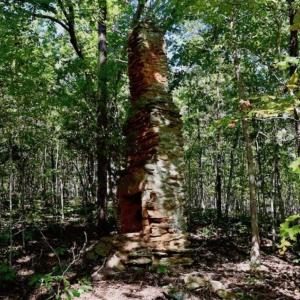 Photo of REDUCED!  193 Acres of Hunting and Recreational Land For Sale in Bedford County VA!