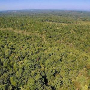 Photo of REDUCED!  193 Acres of Hunting and Recreational Land For Sale in Bedford County VA!