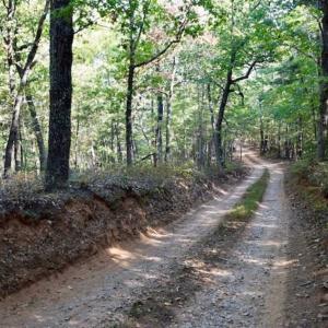 Photo of REDUCED!  193 Acres of Hunting and Recreational Land For Sale in Bedford County VA!