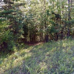 Photo of REDUCED!  193 Acres of Hunting and Recreational Land For Sale in Bedford County VA!