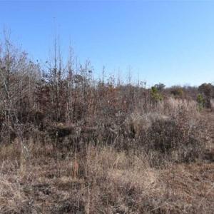 Photo of 93 Acres of Commercial Development and Hunting Land For Sale in Pitt County NC!