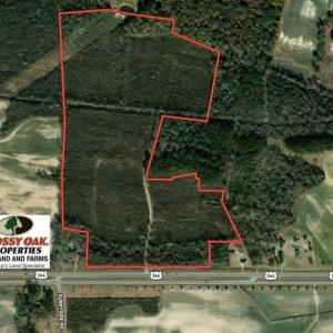 Photo of 93 Acres of Commercial Development and Hunting Land For Sale in Pitt County NC!