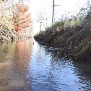 Photo of 93 Acres of Commercial Development and Hunting Land For Sale in Pitt County NC!