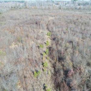 Photo of 93 Acres of Commercial Development and Hunting Land For Sale in Pitt County NC!