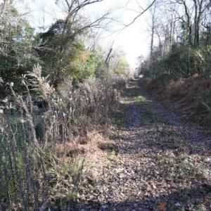 Photo of 93 Acres of Commercial Development and Hunting Land For Sale in Pitt County NC!