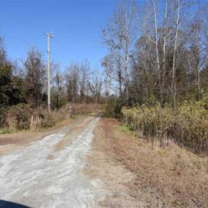 Photo of 93 Acres of Commercial Development and Hunting Land For Sale in Pitt County NC!