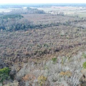 Photo of 93 Acres of Commercial Development and Hunting Land For Sale in Pitt County NC!