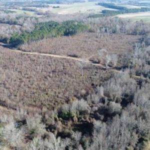 Photo of 93 Acres of Commercial Development and Hunting Land For Sale in Pitt County NC!