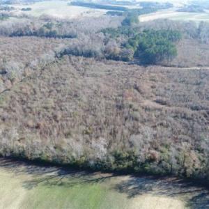 Photo of 93 Acres of Commercial Development and Hunting Land For Sale in Pitt County NC!