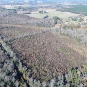 Photo of 93 Acres of Commercial Development and Hunting Land For Sale in Pitt County NC!