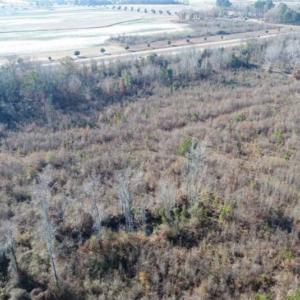 Photo of 93 Acres of Commercial Development and Hunting Land For Sale in Pitt County NC!