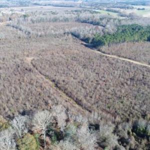 Photo of 93 Acres of Commercial Development and Hunting Land For Sale in Pitt County NC!