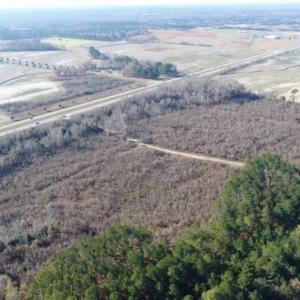 Photo of 93 Acres of Commercial Development and Hunting Land For Sale in Pitt County NC!