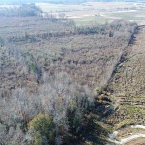Photo of 93 Acres of Commercial Development and Hunting Land For Sale in Pitt County NC!