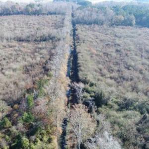 Photo of 93 Acres of Commercial Development and Hunting Land For Sale in Pitt County NC!