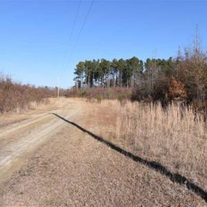 Photo of 93 Acres of Commercial Development and Hunting Land For Sale in Pitt County NC!