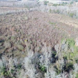 Photo of 93 Acres of Commercial Development and Hunting Land For Sale in Pitt County NC!