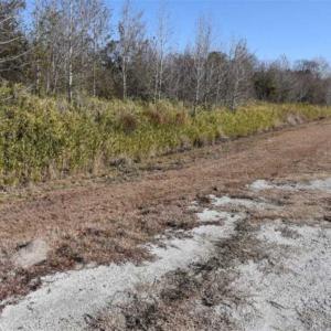 Photo of 93 Acres of Commercial Development and Hunting Land For Sale in Pitt County NC!