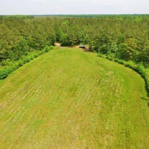 Photo of UNDER CONTRACT!!  117 Acres of Hunting and Timber Land with Cabin and Pond For Sale in Jones County!