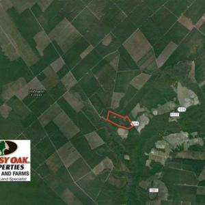 Photo of UNDER CONTRACT!!  117 Acres of Hunting and Timber Land with Cabin and Pond For Sale in Jones County!