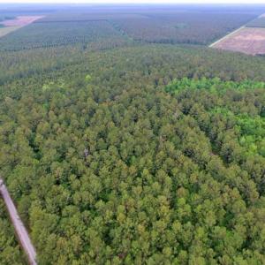 Photo of UNDER CONTRACT!!  117 Acres of Hunting and Timber Land with Cabin and Pond For Sale in Jones County!