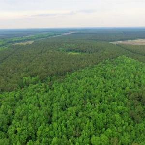 Photo of UNDER CONTRACT!!  117 Acres of Hunting and Timber Land with Cabin and Pond For Sale in Jones County!