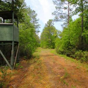 Photo of UNDER CONTRACT!!  117 Acres of Hunting and Timber Land with Cabin and Pond For Sale in Jones County!