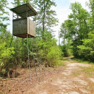 Photo of UNDER CONTRACT!!  117 Acres of Hunting and Timber Land with Cabin and Pond For Sale in Jones County!