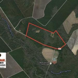 Photo of UNDER CONTRACT!!  117 Acres of Hunting and Timber Land with Cabin and Pond For Sale in Jones County!