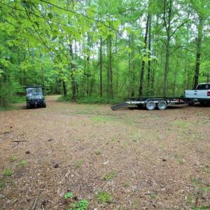 Photo of UNDER CONTRACT!!  117 Acres of Hunting and Timber Land with Cabin and Pond For Sale in Jones County!
