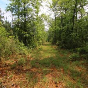 Photo of UNDER CONTRACT!!  117 Acres of Hunting and Timber Land with Cabin and Pond For Sale in Jones County!