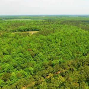 Photo of UNDER CONTRACT!!  117 Acres of Hunting and Timber Land with Cabin and Pond For Sale in Jones County!