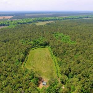 Photo of UNDER CONTRACT!!  117 Acres of Hunting and Timber Land with Cabin and Pond For Sale in Jones County!